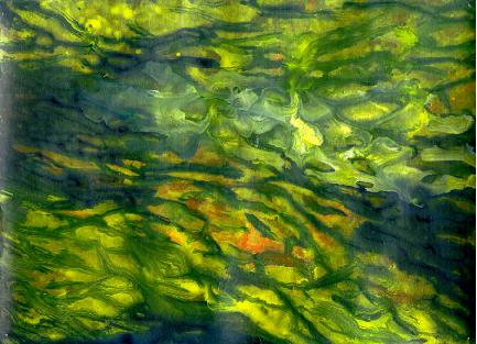 La Luz es dinmica -WEB1