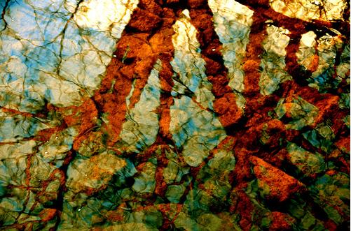 LuzAzulprimersoldeprimavera