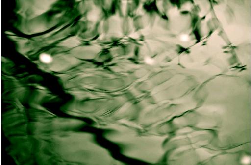 2-Luz Profusin y Vida