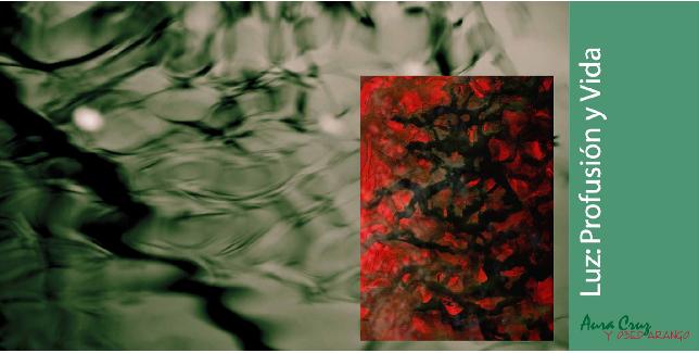 Luzprofusionyvidacartel1