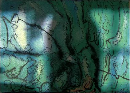 Caminoabiertocopyweb