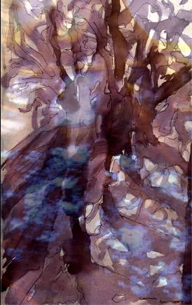 hermanoscompaerosweb