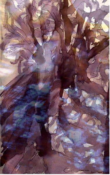 hermanoscompaerosweb